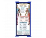 WhiteCoat Clipboard® Trifold - Blue Occupational Therapy Edition